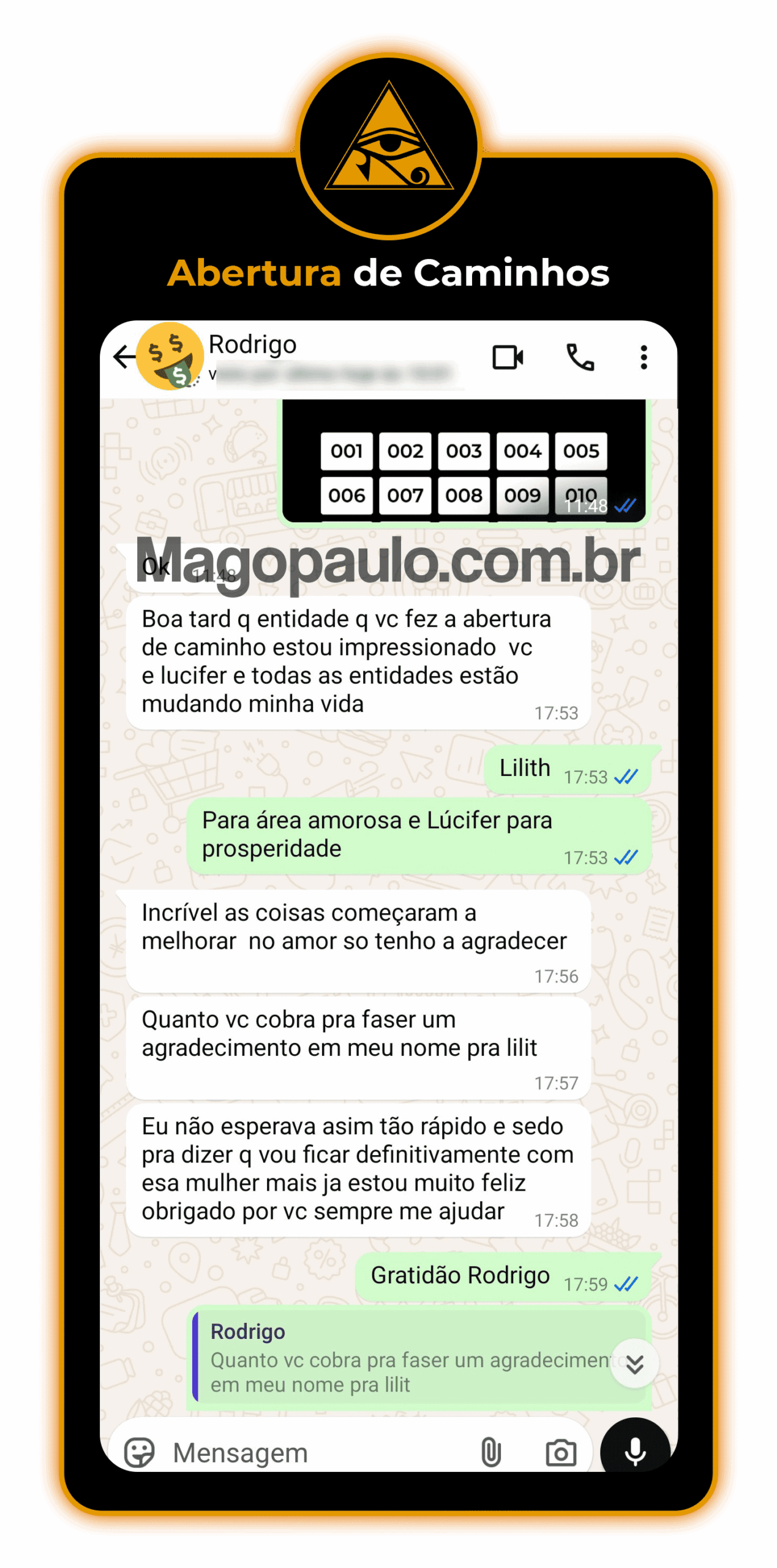 Resultados (15)